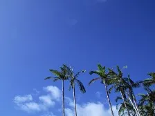 2011サマーキャンペーン【6～8月限定】