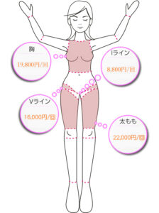 胸・Vライン・Iライン・太もも