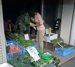 ゆり皮膚科の近隣には自家製無農薬野菜販売の八百屋さんもあります